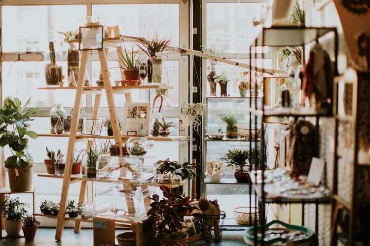 Charlotte Collective